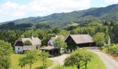 Tour Zu Fuß Oberhaag - Altenbachklamm - Photo 5