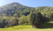 Tour Wandern Mittlach - Lac d'Altenweiher - Photo 2