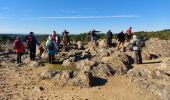 Tocht Stappen Montagnac - Arsel montagnac la cave et les statues - Photo 12