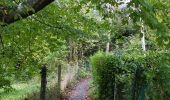 Trail Walking Yvoir - GODINNE ... par le pont de Rouillon. - Photo 6