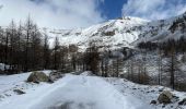 Tour Schneeschuhwandern Saint-Dalmas-le-Selvage - Pointe de Colombart - Photo 4