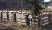 Tocht Te voet Sand in Taufers - Campo Tures - Naturerlebnispfad - Photo 8