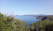 Tocht Stappen Portoferraio - Ile d'Elbe - Enfola 18-10-22 - Photo 2