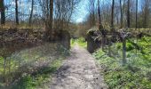 Trail Walking Namur - Saint Marc 030423 - Photo 6