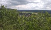 Tour Wandern Myon - Myon - Photo 2