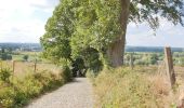 Tocht Elektrische fiets Ronse - Renaix - Nukerke - Koppenberg - schavaert - Photo 13