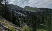 Trail Walking Saint-Agnan-en-Vercors - Rocher de la Peyrouse - Photo 10