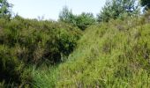 Tour Zu Fuß Maasmechelen - Mechelse Heide Gele zeshoek - Photo 6