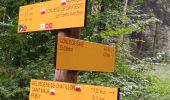 Trail Walking Conliège - Fontaine de Fontenaille  - Photo 3