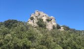 Excursión Senderismo Saint-Jean-de-la-Blaquière - Le rocher des vierges depuis saint jean de la blasuiete - Photo 10