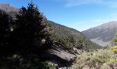 Tour Wandern Soldeu - col Fontargenta  - Photo 1