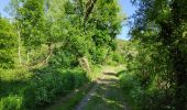 Trail Walking Incourt - Sart Risbart (Incourt) - Photo 2