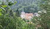 Trail Walking Pierre-Percée - ARCA PIERRE PERCÉE  - Photo 2