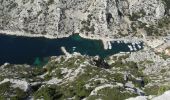 Trail Walking Marseille - PF-Les calanques - Le Mont Puget - Photo 18