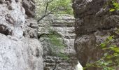 Tour Wandern Die - La belle justine - Photo 8