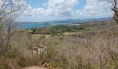 Trail Walking Les Anses-d'Arlet - Galoche - Esperance - Photo 1