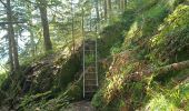 Randonnée Marche Bussang - Circuit col de bussang / tête de la Bouloie - Photo 17