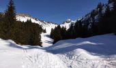 Tocht Ski randonnée Le Grand-Bornand - PT 2595au dessus du col des Verts - Photo 11