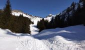 Trail Touring skiing Le Grand-Bornand - PT 2595au dessus du col des Verts - Photo 11