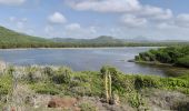 Excursión Senderismo Le Vauclin - Boucle Macabou via Morne Etoile - Photo 5