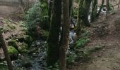 Trail Walking Saint-Julien-en-Vercors - le pont du diable - Photo 12