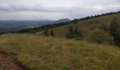 Tour Wandern Orcines - Ballade au Puy de Cōme - Photo 7