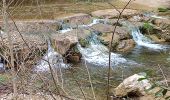 Trail Walking Flayosc - reconnaissance berne circuit jaune  - Photo 9