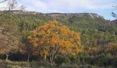 Tocht Stappen Cuers - En dessous des Barres de Cuers  - Photo 6