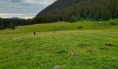 Trail Walking Fillière - GLIERES: PACCOT - COL DE L'OVINE - POINTE DE LA QUEBLETTE - Photo 1