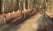 Trail Walking Ostwald - Lundi  - Photo 4