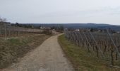 Trail Walking Osenbach - Circuit découverte Osenbah - Photo 3