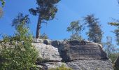 Trail Walking Grandfontaine - Positions fortifiées du Donon sentier des casemates - nord - Photo 16