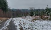 Trail Walking Bouillon - Cornimont 240123 - Photo 17