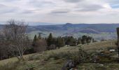 Trail Mountain bike Fréland - Fréland - cimetière Duchesne - Photo 3