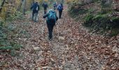 Trail Walking Saint-Sylvestre - Saint Sylvestre - Photo 11