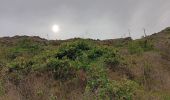 Tocht Stappen Port-Vendres - anse des paulliles - cap bear via les vignes retour par le chemin côtier - Photo 19