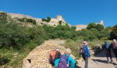 Trail Walking Mornas - Bornas à Saint baudille - Photo 7