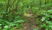 Trail Walking Mettet - Pontaury 210623 - Photo 11