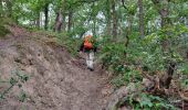 Trail Walking Nainville-les-Roches - La foret des grands avaux - Photo 2