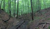 Tour Wandern Watermael-Boitsfort - Watermaal-Bosvoorde - 2020.09.30.P - Photo 1