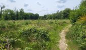 Trail Walking Fosses-la-Ville - Vitrival 030625 - Photo 17