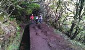 Trail Walking Calheta - Levada do Aletrim - Photo 10