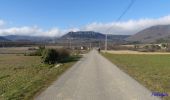 Trail Walking Beaufort-sur-Gervanne - Chapelle Saint-Pancrace (Suze) - Photo 2