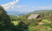 Trail Walking Orbey - Autour du Linge - Photo 16
