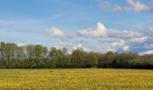 Trail Walking Rochefort - rando belvaux 28-04-2023 - Photo 1