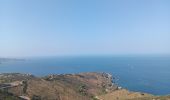 Trail Walking Banyuls-sur-Mer - cap del troc . coll de gran bau . cap réderis . retour par le chemin du littoral  - Photo 12