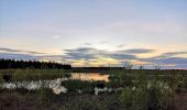 Tocht Te voet Fockbek - Rundweg Fockbeker Moor - Photo 4