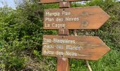 Tour Wandern Vence - Blaquiere - Photo 7