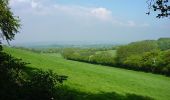 Tour Zu Fuß East Hampshire - Long Woodland Trail - Photo 5