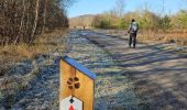 Tour Wandern Maasmechelen - Terhills et son pont flottant  - Photo 3